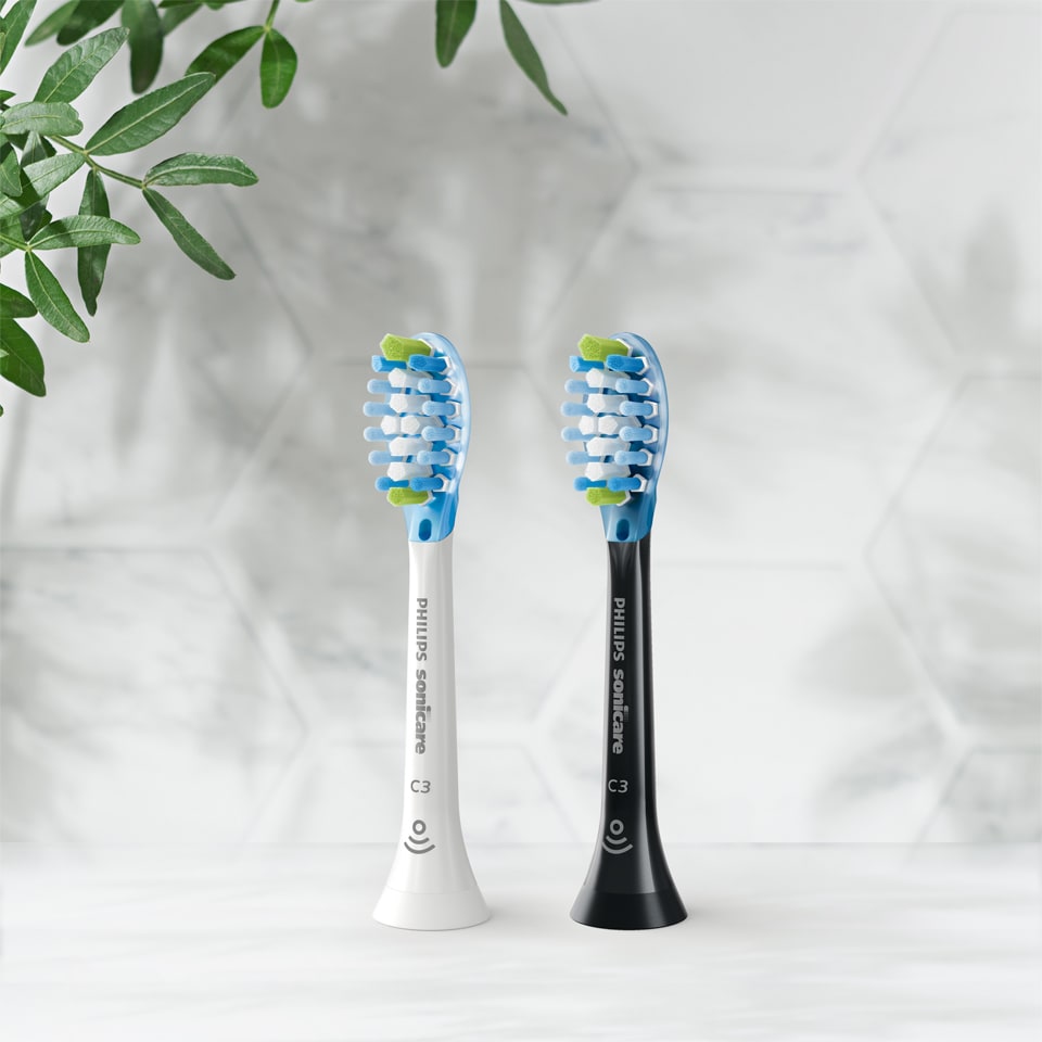 Têtes de brosse noires et blanches