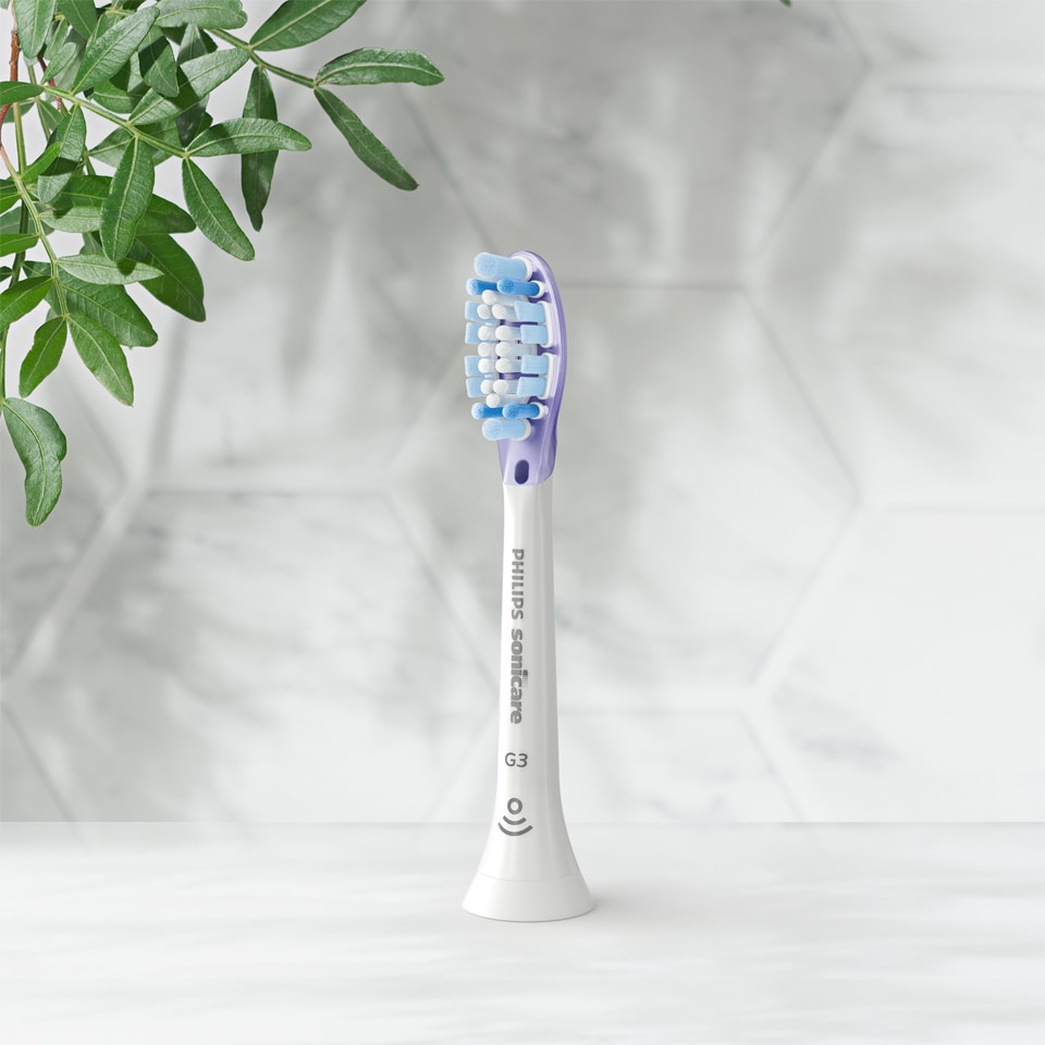 Tête de brosse G3