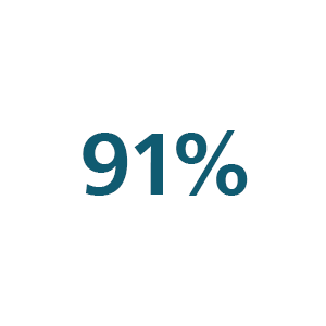 Icône 91 %