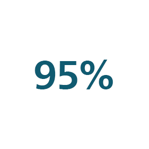 Icône 95 %