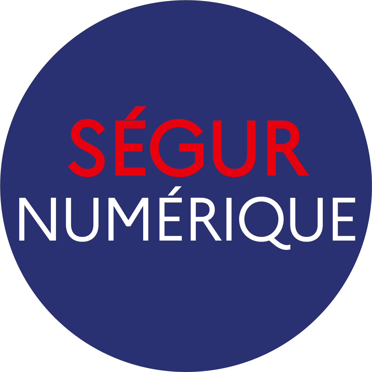 Segur numerique