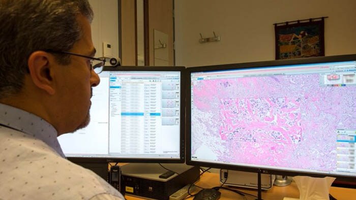 digital pathology