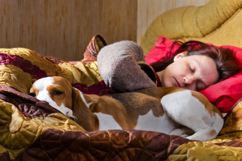 Tout savoir sur le sommeil