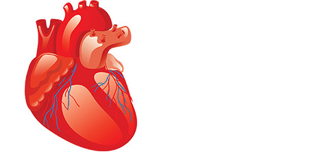 Moniteur patient échographie intravasculaire vh