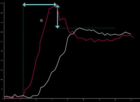 La perfusion de l’ATP a augmenté