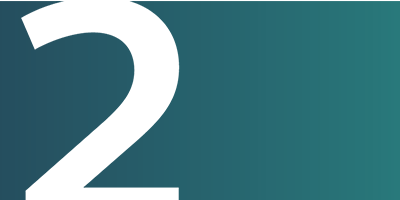 Icon 2