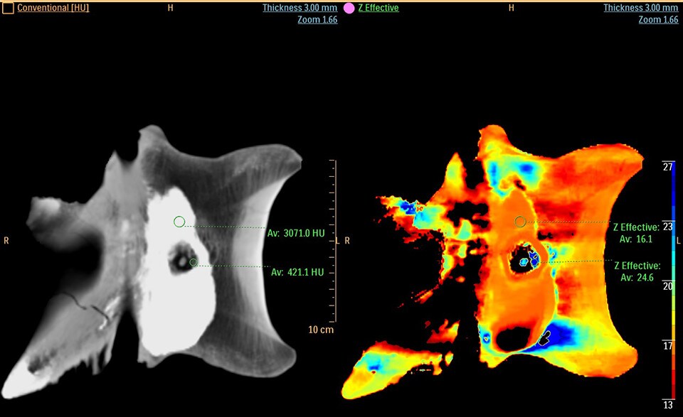 t-rex scan