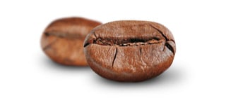 Grains de café Robusta