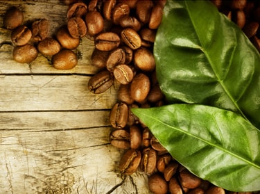 Grains de café issus de l'agriculture biologique