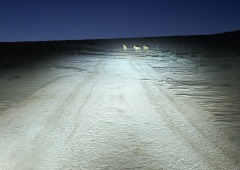 Ultinon Pro9000 LED
