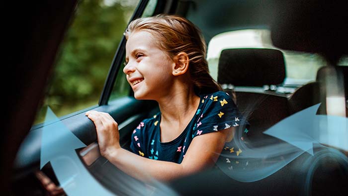 Purificateur d'air pour voiture