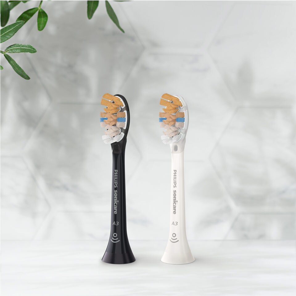 Deux têtes de brosse Premium tout-en-un disposées sur un plan de travail