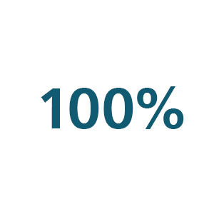 Ic&ocirc;ne 100&nbsp;%