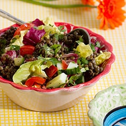 Salade de lentilles - Recette entrée | Philips