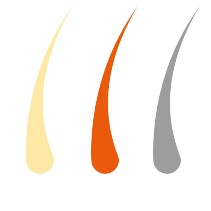 image de la marque