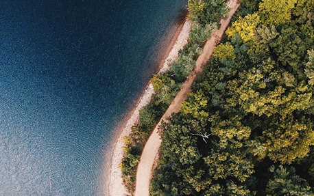 Bannière d’une vue aérienne d’arbres et de l’océan, introduisant le plan de développement durable de Philips.