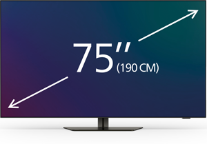 75-77 inch TVs