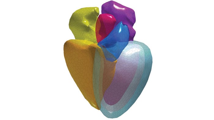 Three dimensional hearth
