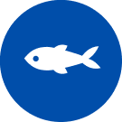 Icône « Poisson »